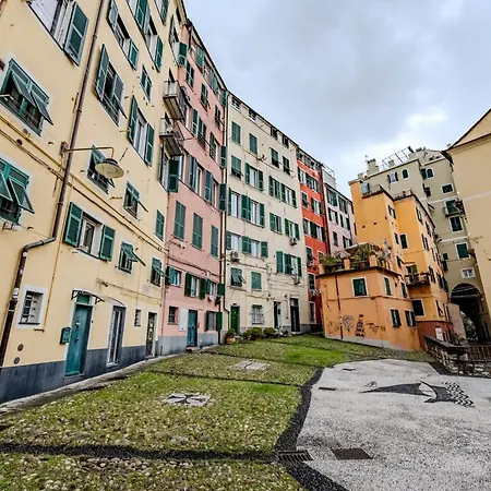 Coccagna Living - Within The Walls Of Medieval Janov